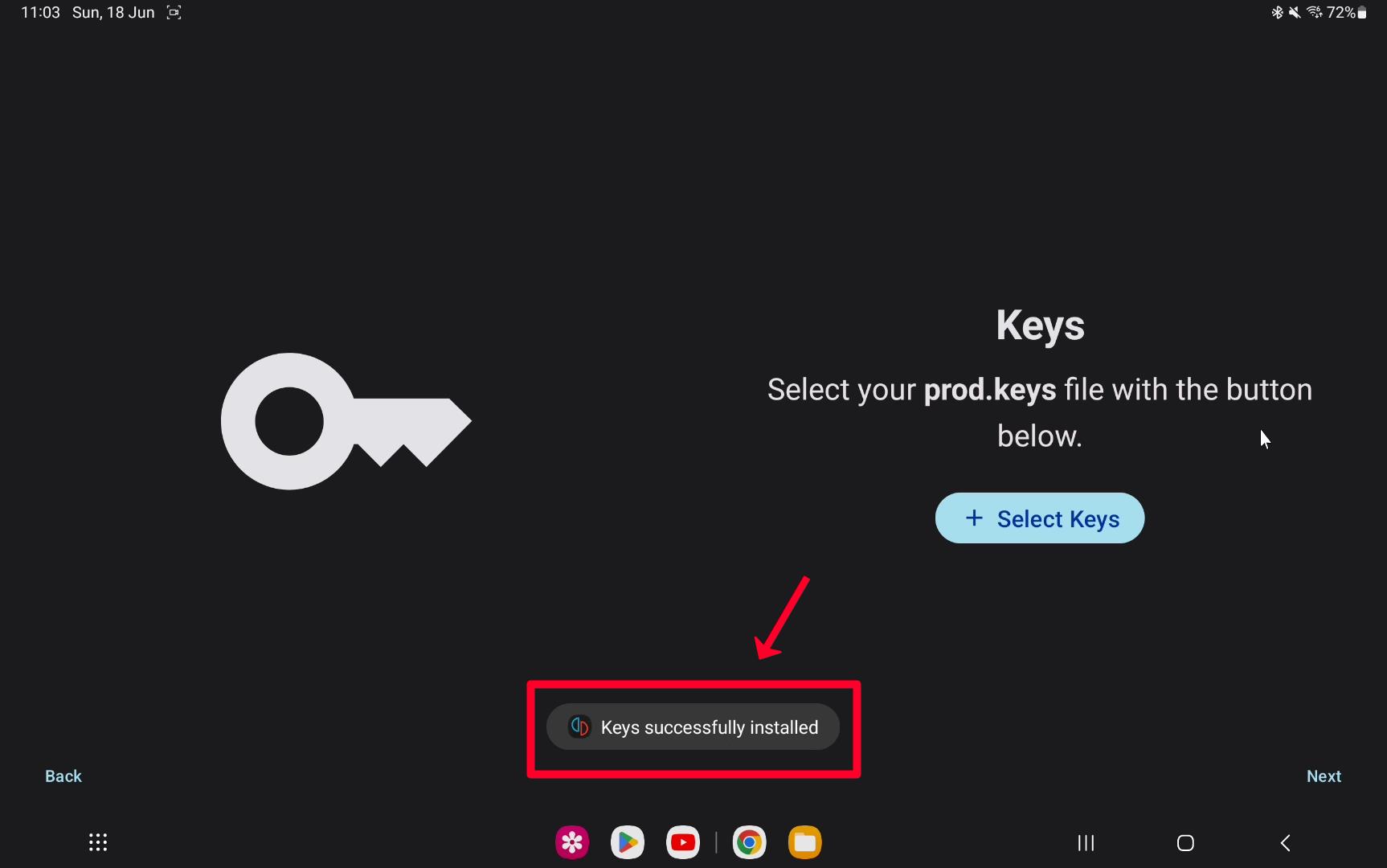 Step 11 Keys successfully installed enjoy